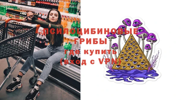 мдпв Балахна