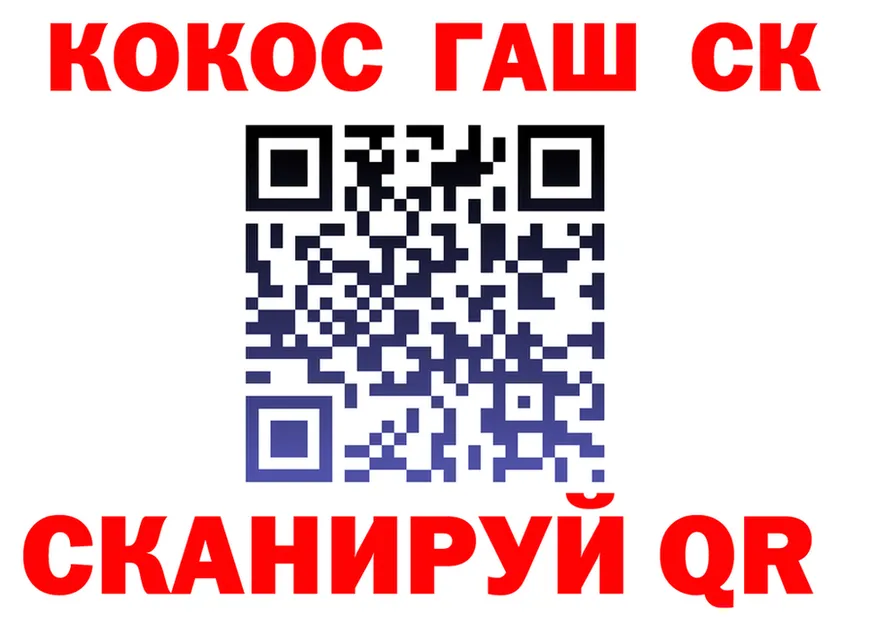 МЯУ-МЯУ мука зеркало площадка kraken Красный Холм